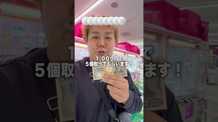 妻に1000円渡したら景品を何個取れるの？？#ゲーセン #ゲームセンター #クレーンゲーム #ufoキャッチャー