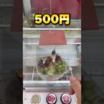 お菓子・日用品は獲る時代！の衝撃的なゲーセンで10000円チャレンジ！ #shorts #クレーンゲーム #ufoキャッチャー #cranegame