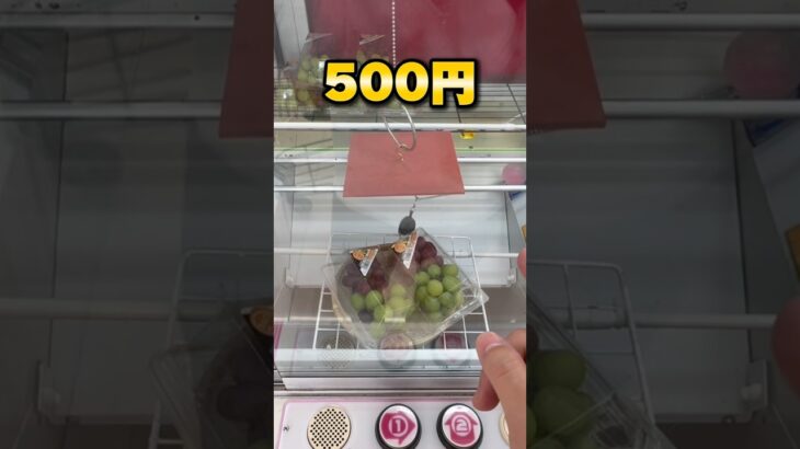 お菓子・日用品は獲る時代！の衝撃的なゲーセンで10000円チャレンジ！ #shorts #クレーンゲーム #ufoキャッチャー #cranegame