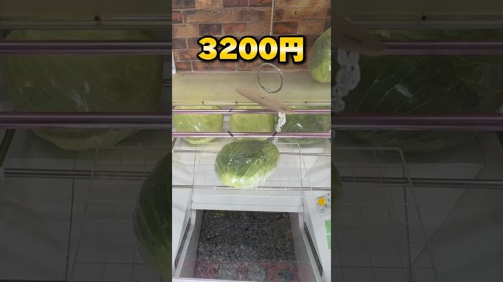 オープンから半年のゲーセンが大荒れ⁉︎10000円チャレンジしたら…⁉︎ #shorts #クレーンゲーム #ufoキャッチャー #cranegame