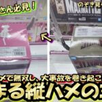 【クレーンゲーム】1000円以下で安定GET！超基本☆取れる縦ハメのコツ！クレゲで母娘の夢をかなえる企画リターンズ！ｗ【突撃新景品#38】