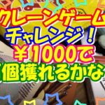 【クレーンゲーム】チャレンジ！￥1000で景品何個獲れるかな？【GiGO】