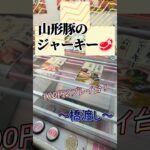 医者から100円2play台を定期的に処方されています。#shorts#クレーンゲーム#ゲーセン#コツ#お菓子#攻略#ちいかわ#ぬいぐるみ#3本爪#確率無視#フック設定
