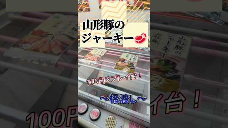 医者から100円2play台を定期的に処方されています。#shorts#クレーンゲーム#ゲーセン#コツ#お菓子#攻略#ちいかわ#ぬいぐるみ#3本爪#確率無視#フック設定