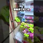 100円の価値観、壊れた。画面いっぱいのモフモフをどうぞ。#clawmachine #shorts #攻略 #クレーンゲーム #ufoキャッチャー