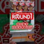 【ガチ検証🫪】ラウンドワンで確率機カニ歩き10台チャレンジしてみたら奇跡起きたww #クレーンゲーム #UFOキャッチャー #ゲームセンター