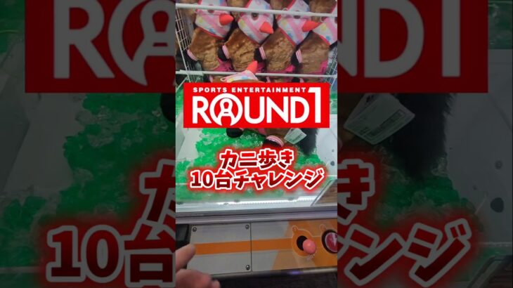 【ガチ検証🫪】ラウンドワンで確率機カニ歩き10台チャレンジしてみたら奇跡起きたww #クレーンゲーム #UFOキャッチャー #ゲームセンター