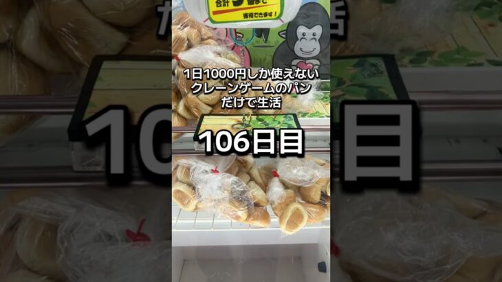 1日1000円しか使えないクレーンゲームの景品だけで生活106日目 #clawmachine #クレーンゲーム #ゲームセンター #ufoキャッチャー #フック設定 #ゲーセン