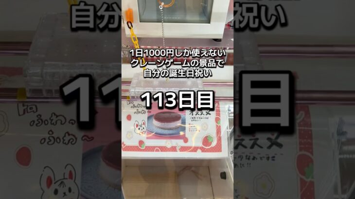 1日1000円しか使えないクレーンゲームの景品だけで生活113日目 #clawmachine #クレーンゲーム #ゲームセンター #ufoキャッチャー #ゲーセン #フック設定