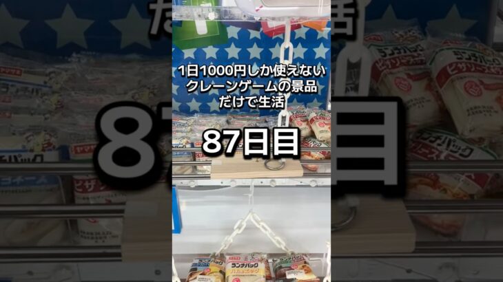 1日1000円しか使えないクレーンゲームの景品だけで生活87日目 #clawmachine #クレーンゲーム #ゲームセンター #ufoキャッチャー #ゲーセン #フック設定
