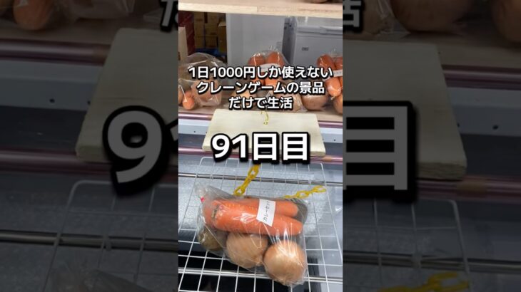 1日1000円しか使えないクレーンゲームの景品だけで生活91日目 #clawmachine #クレーンゲーム #ゲームセンター #ufoキャッチャー #ゲーセン #フック設定