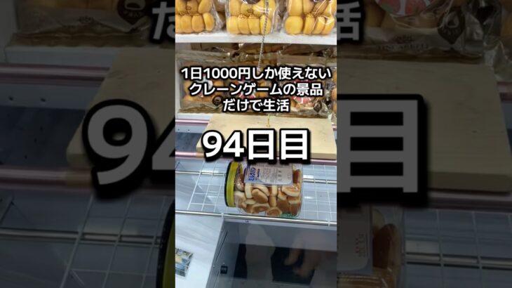 1日1000円しか使えないクレーンゲームの景品だけで生活94日目 #clawmachine #クレーンゲーム #ゲームセンター #ufoキャッチャー #ゲーセン #フック設定