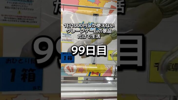 1日1000円しか使えないクレーンゲームの景品だけで生活99日目 #clawmachine #クレーンゲーム #ゲームセンター #ufoキャッチャー #ゲーセン #フック設定