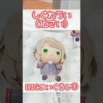 ハピバ🎉しぐれうい(16さい)BIGぬいぐるみ💞 #しぐれうい #クレーンゲーム #しぐれぬい #shorts