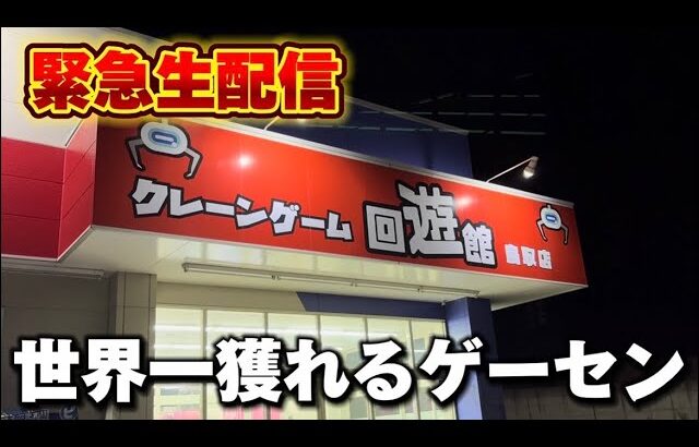 【クレーンゲーム】世界で1番獲れる場所へ！全てが規格外のお店で暴れます！【回遊館鳥取店・UFOキャッチャー】