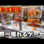 【クレーンゲーム】世界で1番獲れる場所へ！全てが規格外のお店で暴れます！【回遊館養父店・UFOキャッチャー】