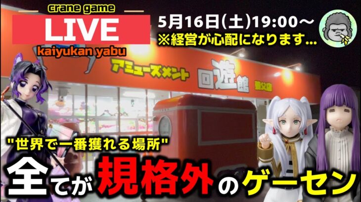 【クレーンゲーム】世界で1番獲れる場所へ！全てが規格外のお店で暴れます！【回遊館養父店・UFOキャッチャー】