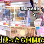 【クレーンゲーム】まじか…とある店舗で1万円を使ったら衝撃の展開になりました…【ufoキャッチャー】