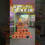 【1万‪‪👍🏻で宣言w】自宅ゲーセンの4月の集金活動やってみたw #クレーンゲーム #自宅ゲーセン #ufoキャッチャー