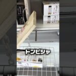 極小フックを2手で仕留めるプロの技👾わずかなズレが命取りになる極小フックを完璧なタイミングで攻略しました🎥 #clawmachine #shorts #攻略 #クレーンゲーム #ufoキャッチャー