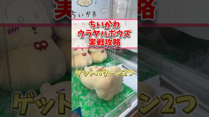 【ちいかわ】ウラヤハボウズ　実戦攻略 パターン2つ【クレーンゲーム】　  #ちいかわ  #クレーンゲーム  #ufoキャッチャー  #shorts