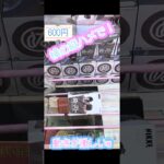 2026.5.11 ① クレーンゲーム　キラーワイフ　1000円チャレンジ