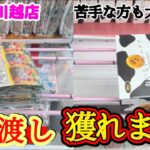 【苦手な人も大丈夫！】クレーンゲーム日本一獲れるお店にある橋渡しの景品の取るコツを紹介 【ベネクス川越店】 #2026年5月