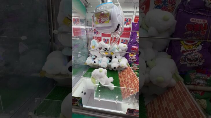 2026年5月14日クレーンゲームでスヌーピーゲット！