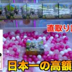 約20万円のイーブイヒーローズが直取りできる闇クレーンゲーム見つけたww【ポケモンカード／ポケモン】