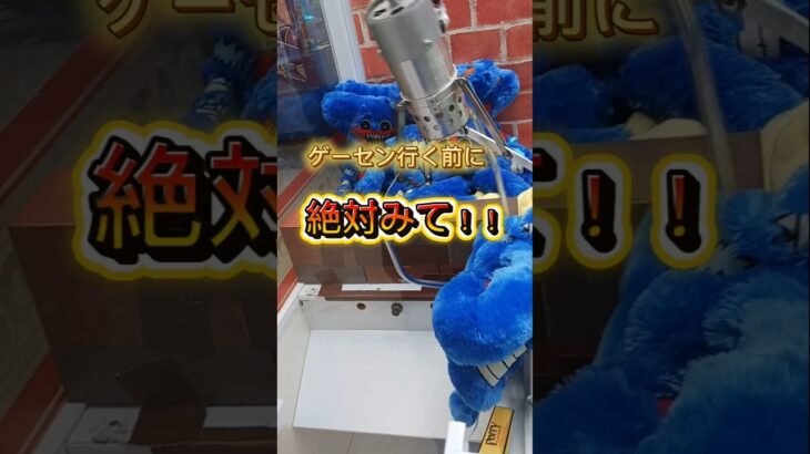 3本爪のクレーンゲームの攻略法！ #クレーンゲーム #ゲームセンター #ufoキャッチャー #3本爪 #確率機 #クレゲ #クレーンゲーム攻略 #ゲーセン