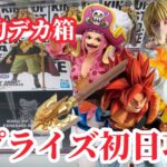 【初日ゴットン#307】圧倒的なデカ箱の圧力！クレーンゲーム攻略【#トレトレ倉庫春日白水店】