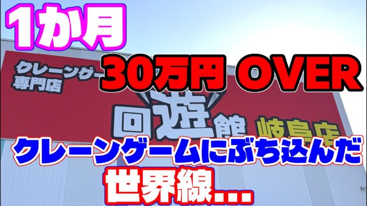 【30万円OVER】1か月通い続けて30万円をクレーンゲームにぶち込んだ先の世界線…（クレーンゲーム）回遊館 岐阜店