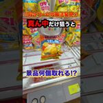 【攻略法発見】3段タワー設定を全台1プレイずつ真ん中狙いで挑戦してみたら、、、 #shorts #クレーンゲーム #ufoキャッチャー # ゲーセン #ゲームセンター #万代 札幌藤野店