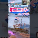 【ぽこにゃんを救いたい。】3本爪は金額表示のない自動販売機です。#shorts#クレーンゲーム#ゲーセン#コツ#お菓子#攻略#ちいかわ#ぬいぐるみ#3本爪#確率無視#フック設定