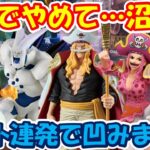 【クレーンゲーム】【倉庫系】#万代山梨 新ﾌﾟﾗがまさかの沼り箱…本当にやめて… #白ひげ #ビックマム #エドワードニューゲート #シャーロットリンリン #スパーサイヤ人4 #一星龍  #モモ