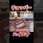 【チョッパー】ハイエナして失敗したが5手でゴットん！！！ #クレーンゲーム #プライズ獲得 #ufoキャッチャー攻略 #チョッパー #ワンピース