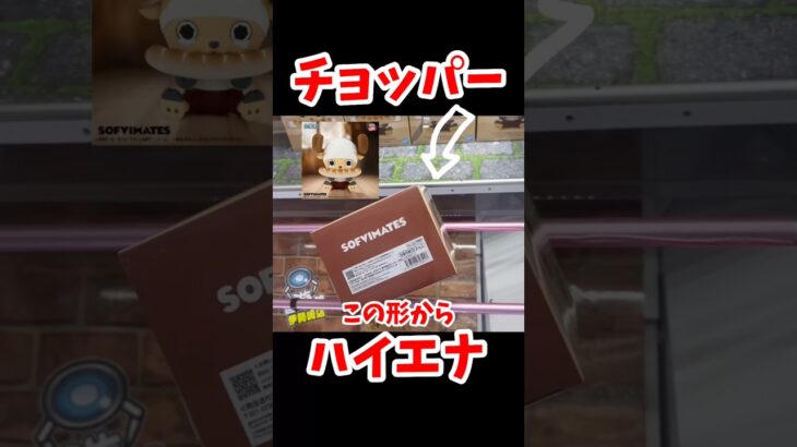 【チョッパー】ハイエナして失敗したが5手でゴットん！！！ #クレーンゲーム #プライズ獲得 #ufoキャッチャー攻略 #チョッパー #ワンピース