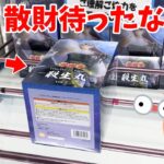 散財待ったなしの鬼デカい殺生丸5000円以内に取れるか挑戦してみた結果