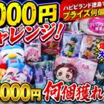 【クレーンゲーム】5000円チャレンジ！ハピピランド徳島で何個取れるのか挑戦してみた！