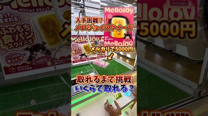 【入手困難】メルカリで5000円越えのメロジョイスクイーズがクレーンゲームに入ってたので、取れるまで挑戦してみた🔥