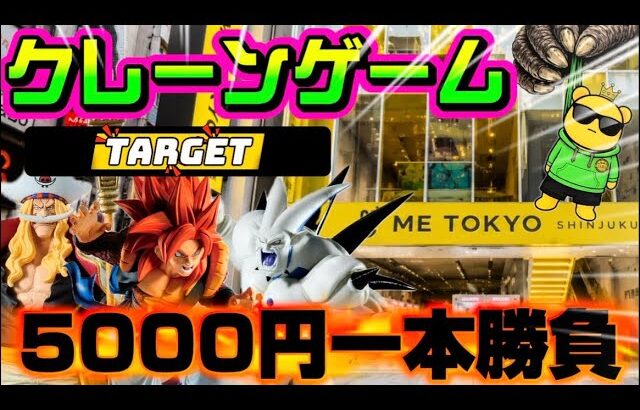 【5000円チャレンジ】GTコンビと白ひげ狙い!!取れなきゃ終了!!ヤラセなしの真剣勝負!!! LIVE IN ME TOKYO SHINJUKU #クレーンゲーム #ufoキャッチャー