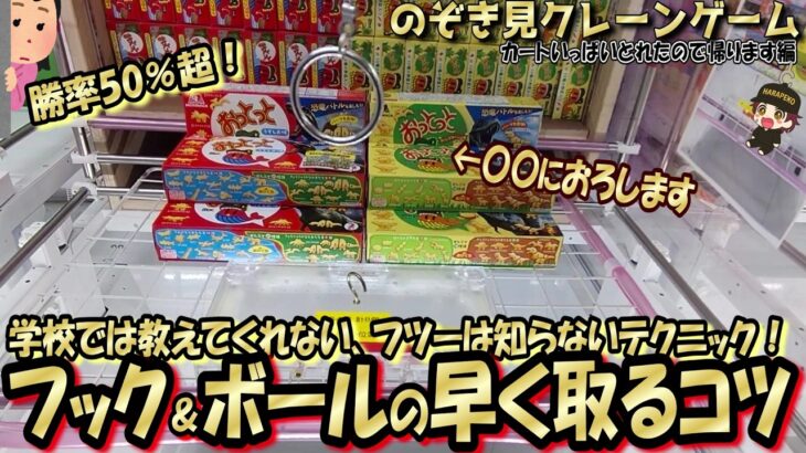 【裏ワザ】500円以内GET率50％超のフックのひとくふう☆珍しい取り方！ボール設定、フツーの人は絶対やらない方法でGET！？出会いの春～＾＾【第65回】
