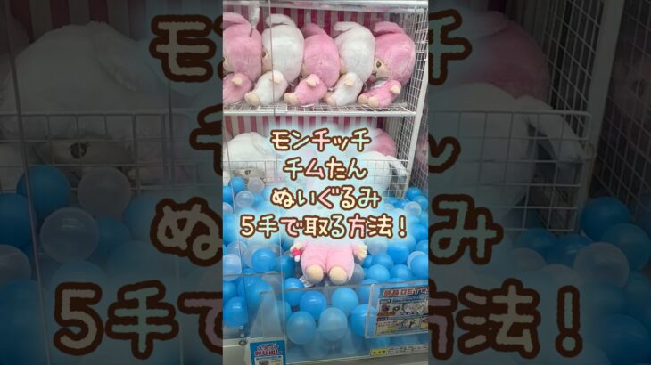 【クレーンゲーム】5/22 ラウンドワンでモンチッチ のチムたんBIGぬいぐるみを5手で簡単に取る取り方のコツをお見せします！ #shorts