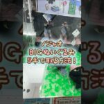 【クレーンゲーム】5/25 ラウンドワンでDr.MORICKYのノジャオBIGぬいぐるみを5手で簡単に取る取り方のコツをお見せします！ #shorts