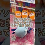 【クレーンゲーム】5/8 ラウンドワンでクソハムちゃんの抱きつきポーチを5手で簡単に取る取り方のコツをお見せします！ #shorts