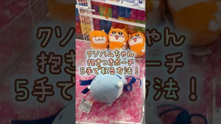 【クレーンゲーム】5/8 ラウンドワンでクソハムちゃんの抱きつきポーチを5手で簡単に取る取り方のコツをお見せします！ #shorts