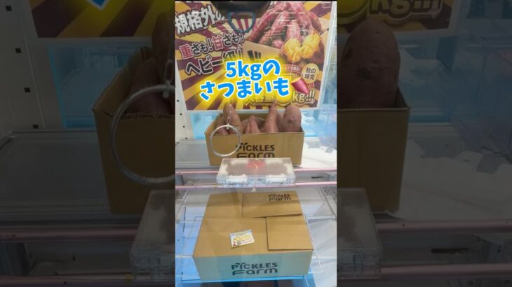【フック攻略】5キロの景品をクレーンゲームで取ってみたw #万代書店川越店 #クレーンゲーム #ゲームセンター #倉庫系 #フック攻略 #フック設定 #clawmachine