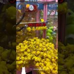 成功率99％のクレーンゲーム攻略法