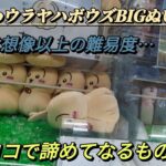 ちいかわウラヤハボウズBIGぬいぐるみ☆ 思ったより難易度高かったけど、絶対諦めない！！【クレーンゲーム】