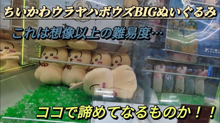 ちいかわウラヤハボウズBIGぬいぐるみ☆ 思ったより難易度高かったけど、絶対諦めない！！【クレーンゲーム】